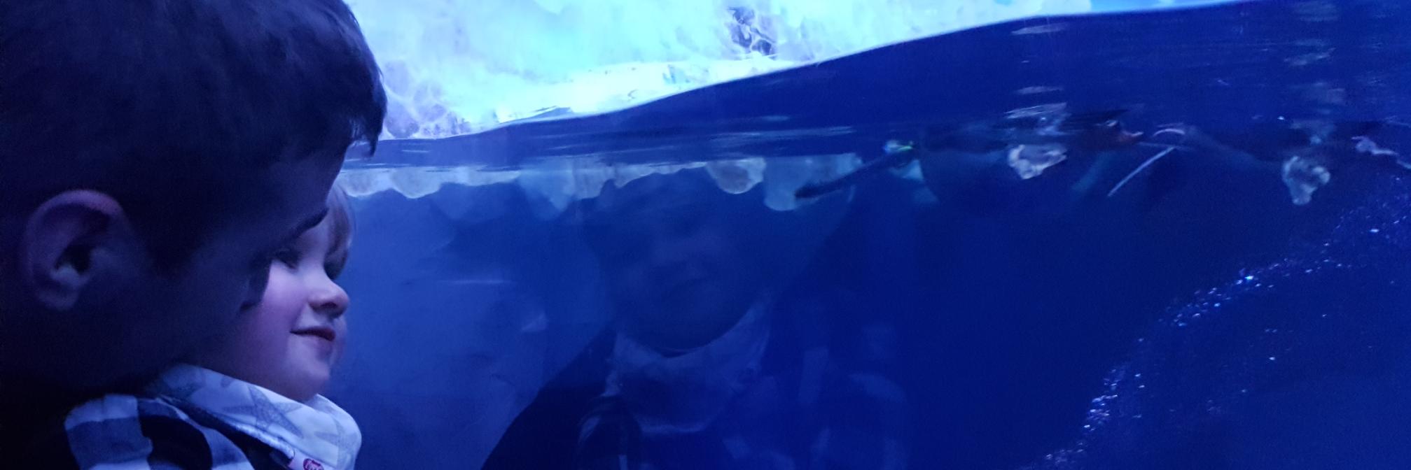 pduncalfe's profile banner image