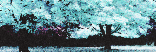 EmillyDiiaas's profile banner image