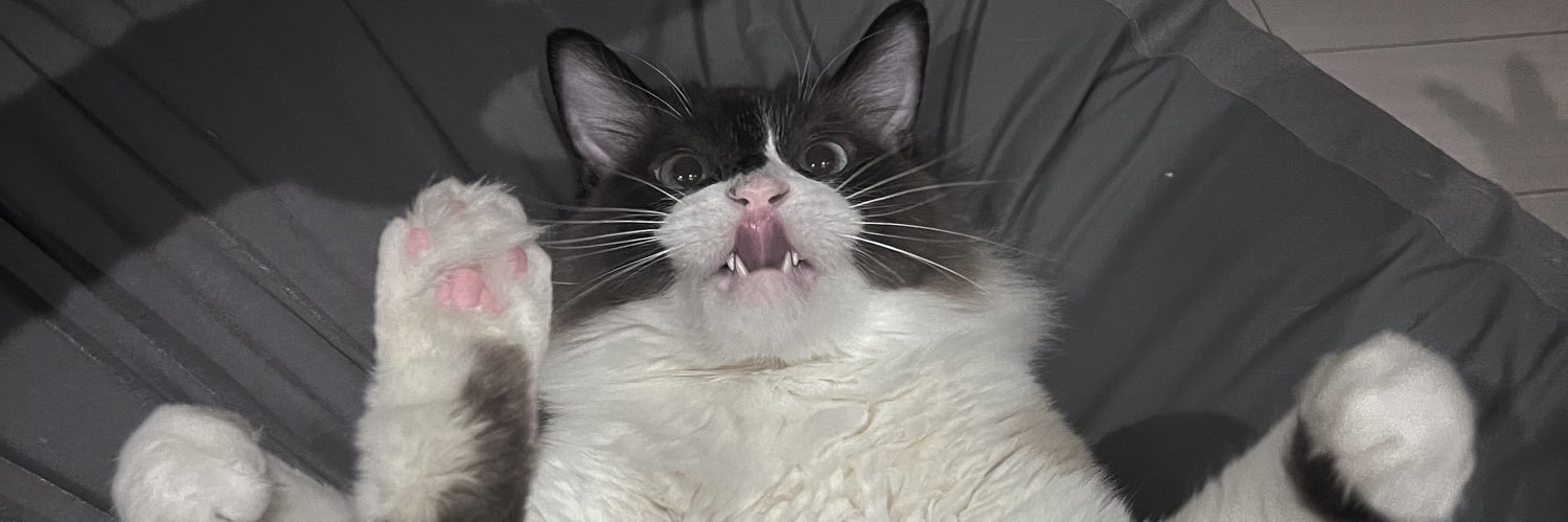 チョウせつこ★ニコバー名古屋栄店Mixコンカフェ banner