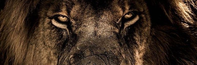 kevin_leon95's profile banner image