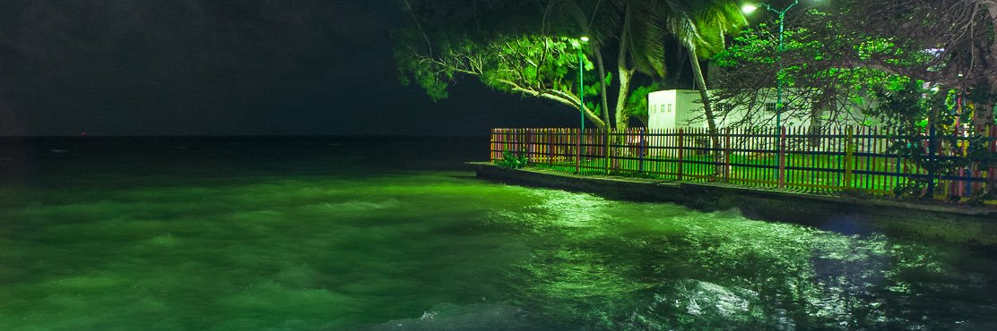 NotSo Starved Artist banner