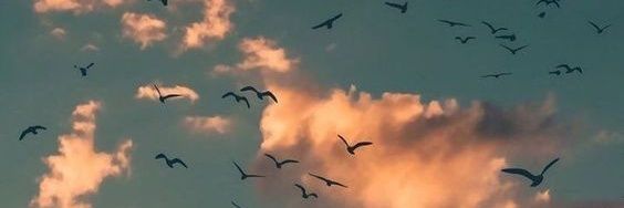 AlwaysYoudaone's profile banner image
