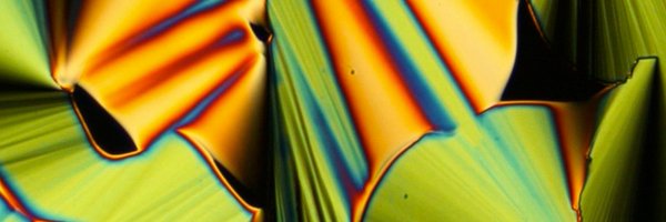 lc_sicl Profile Banner