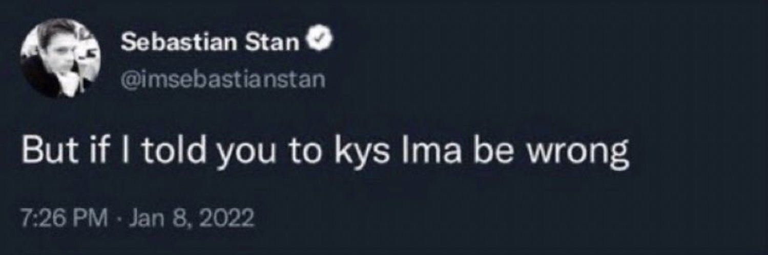 seb stans struggle's banner