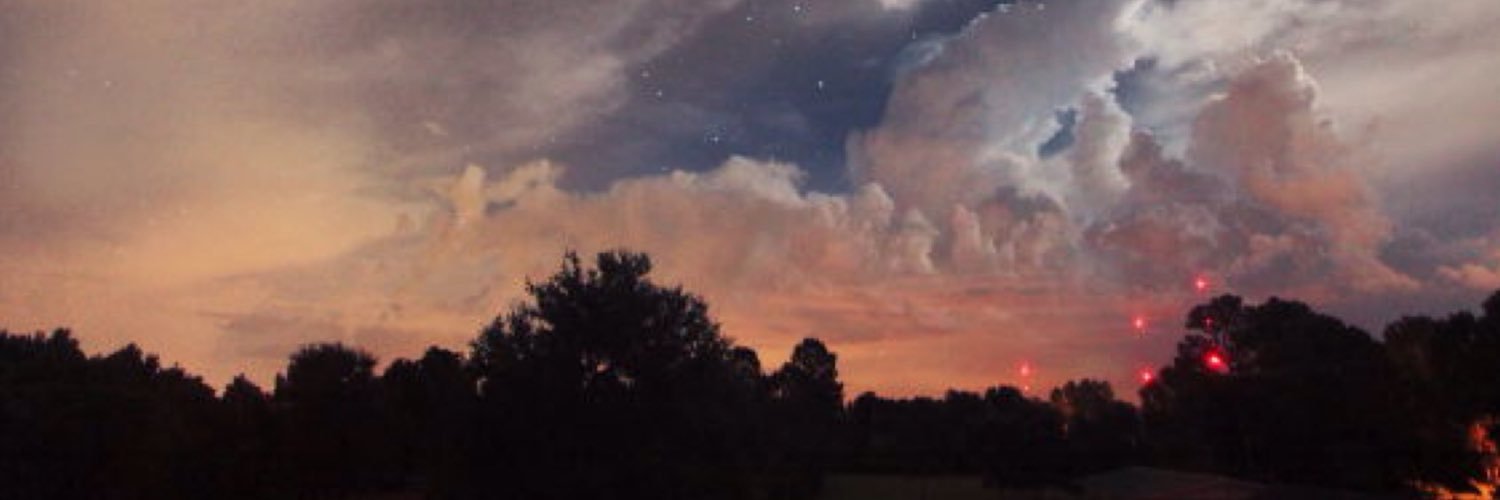 cansugulerer's profile banner image