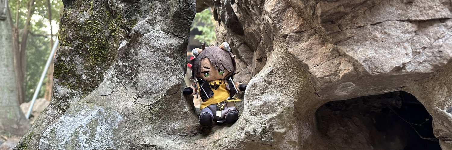 FeiCangshu's profile banner image