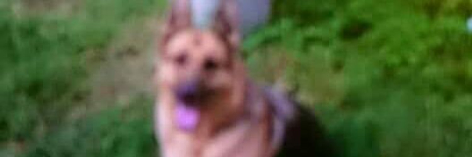 Edoardo Isella (isella_edoardo) / Twitter