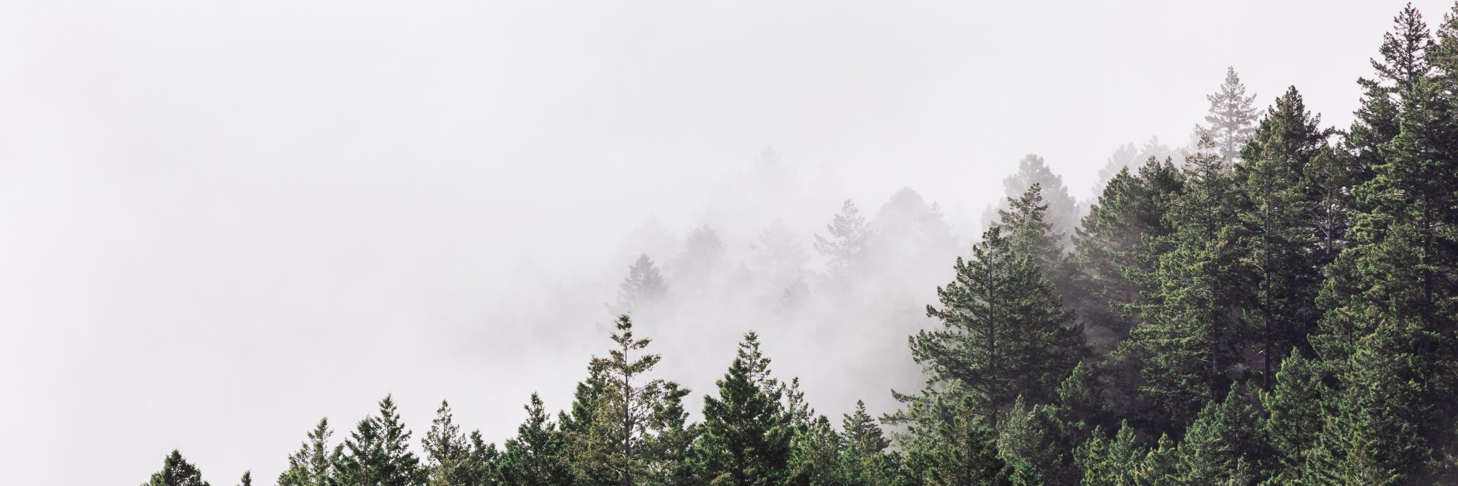 melissadewitte's profile banner image