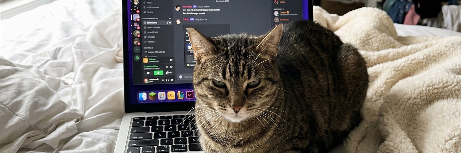 sofiex68's profile banner image