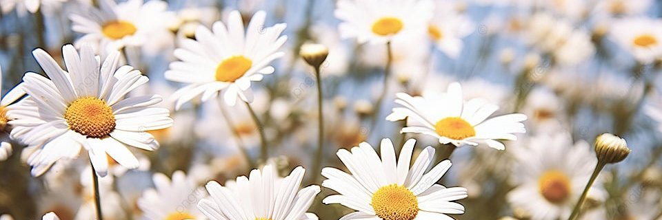 ItsAlmendra's profile banner image