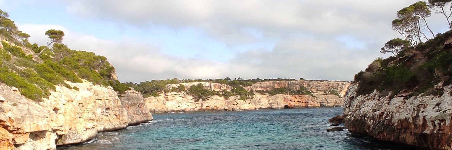 AndyGomcha's profile banner image