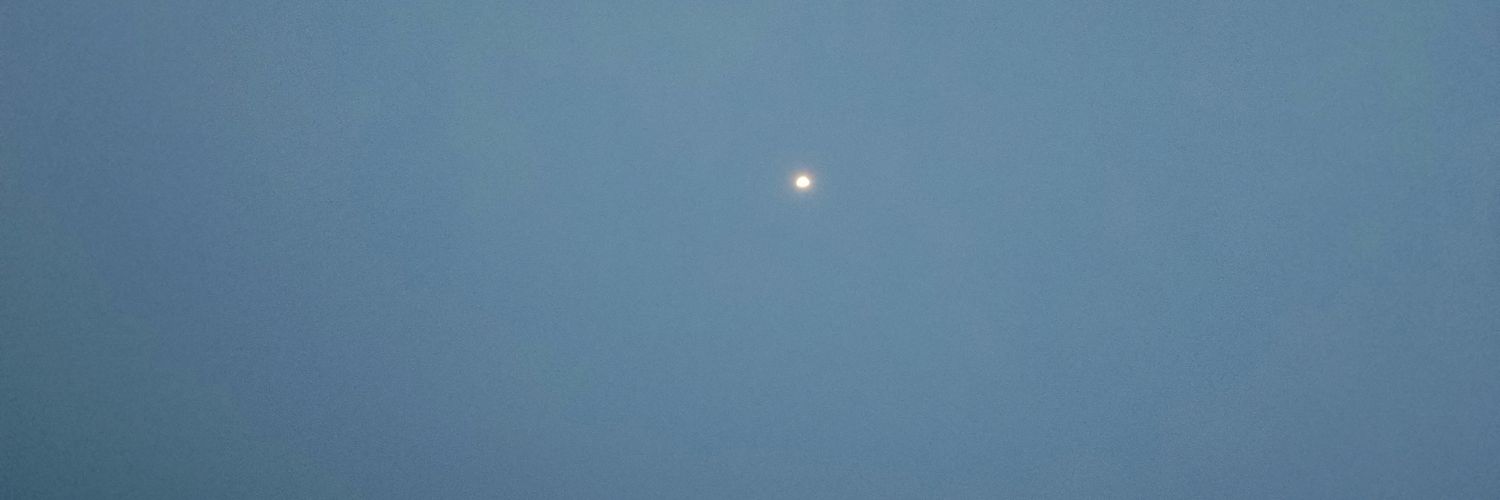 ACE 🏝️⛱️ banner