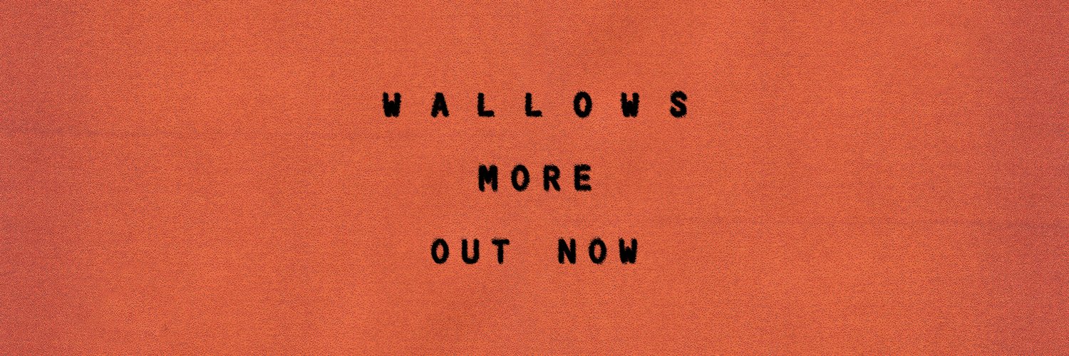 Wallows Info banner