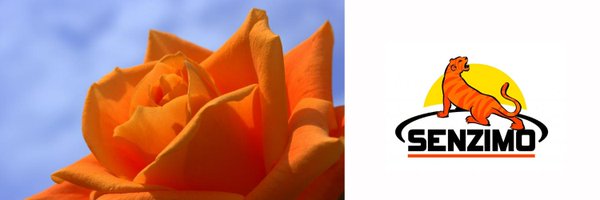 SenzimO Profile Banner