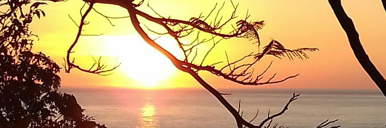Pqna_81's profile banner image