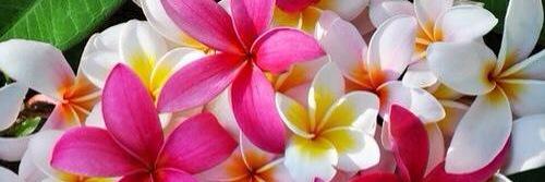 irie_4511's profile banner image