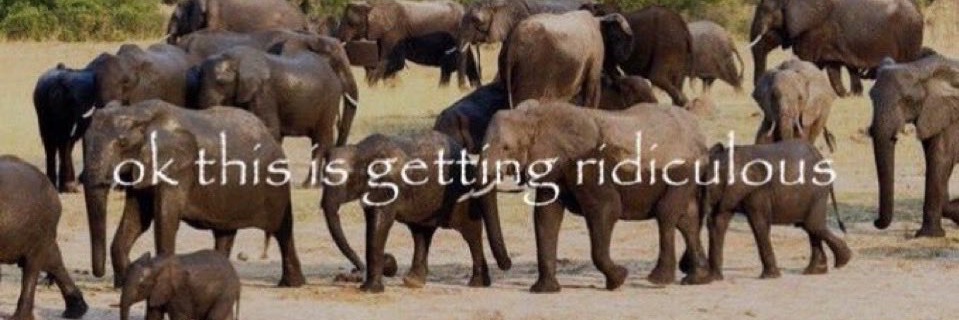 we all hate zeal we all love ren banner