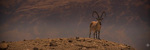 AccountXer74146 Profile Banner