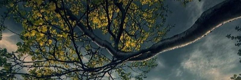jaredfarra's profile banner image
