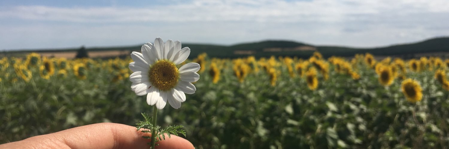 Seddataspinar's profile banner image