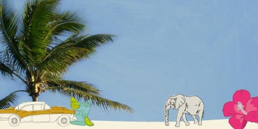 travelsmartnl's profile banner image