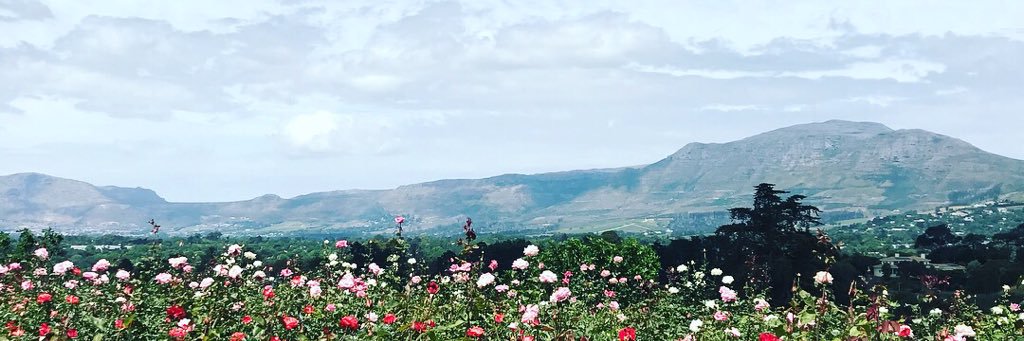 Taahira Moola 🧕🇿🇦 طاهيرة موك banner