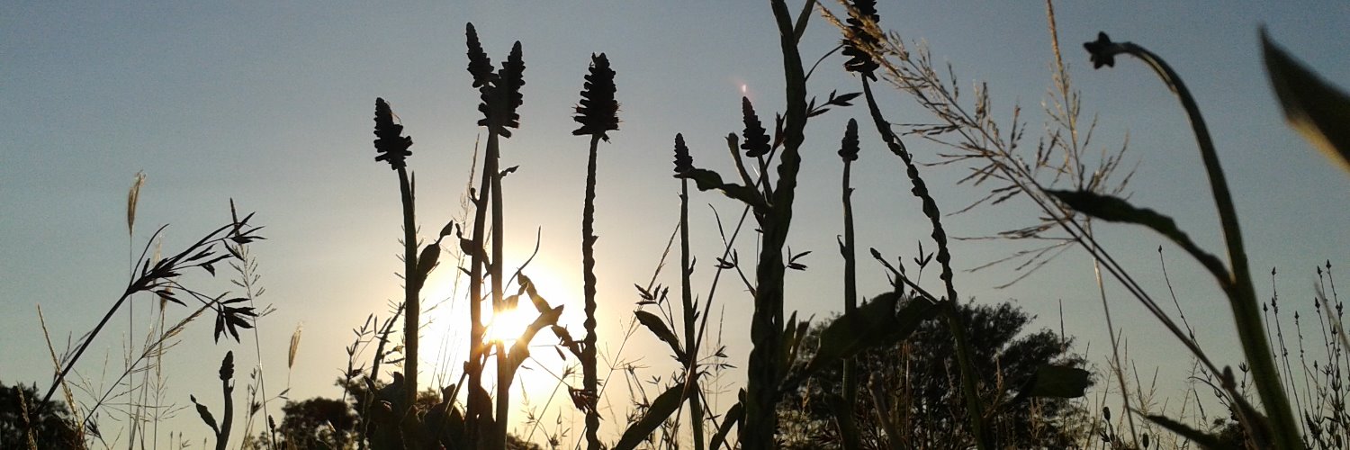 PombeGallardo's profile banner image
