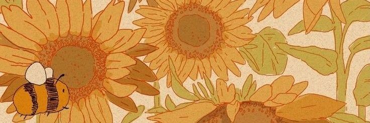dfsfd banner