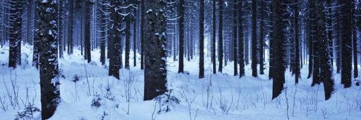 Steven Svender banner