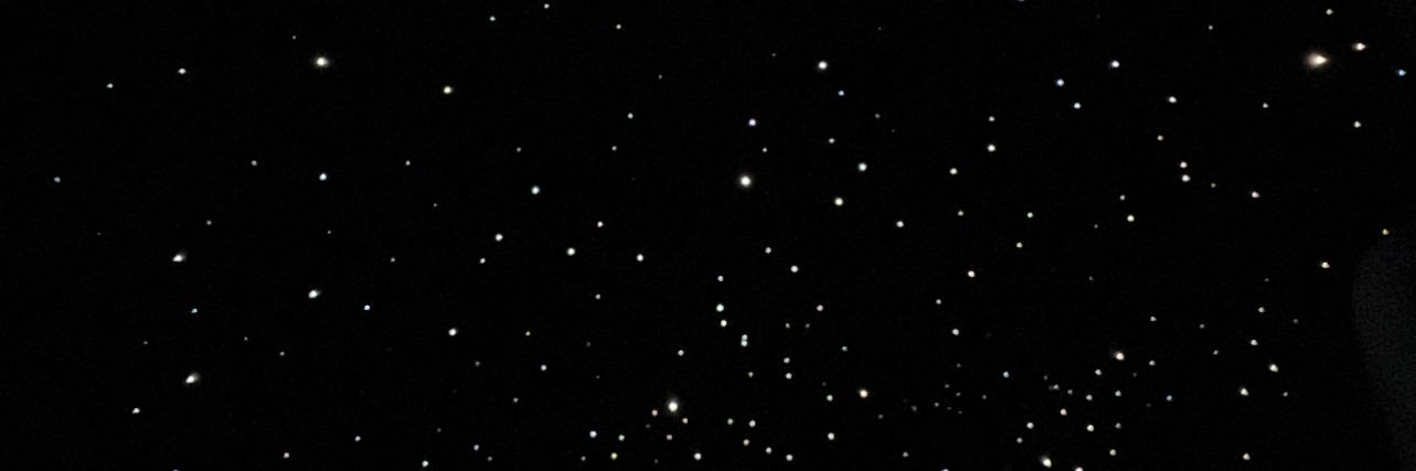 Vito Scaletta banner