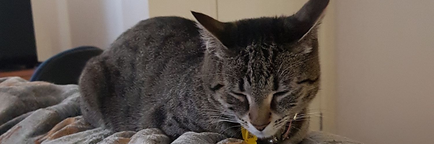 HamishHall3's profile banner image