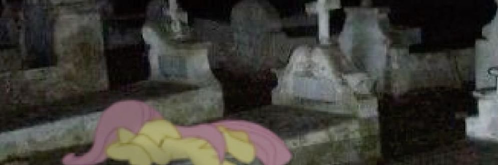 ☣︎ Wren ☣︎ Edtwt banner