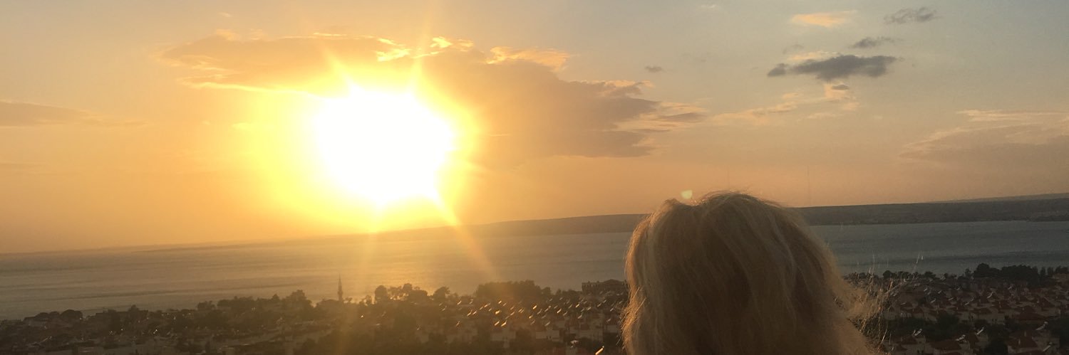 eylullu's profile banner image