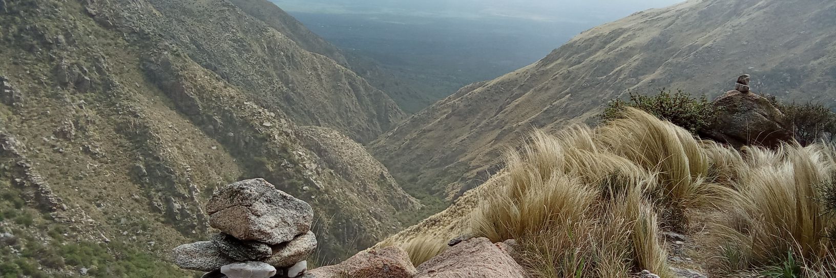 Javier De Pascuale banner