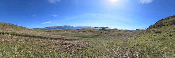 shonas85 Profile Banner