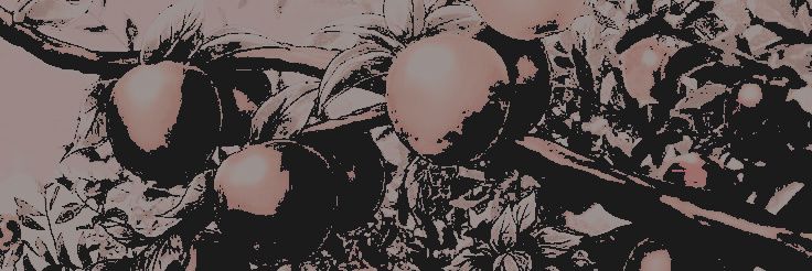 ᅠ*̲˖࣪ᅠ𝓞𝐑𝐈𝐆𝐈𝐍𝐀𝐋ᅠ‍♰ᅠ𝓢𝐈𝐍ᅠ. banner