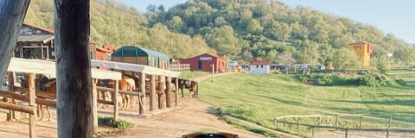 CentellaReggae's profile banner image