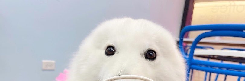 MusikaGirl's profile banner image