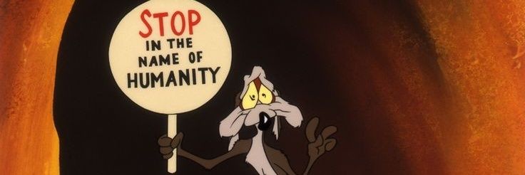Shaheerhamid101's profile banner image