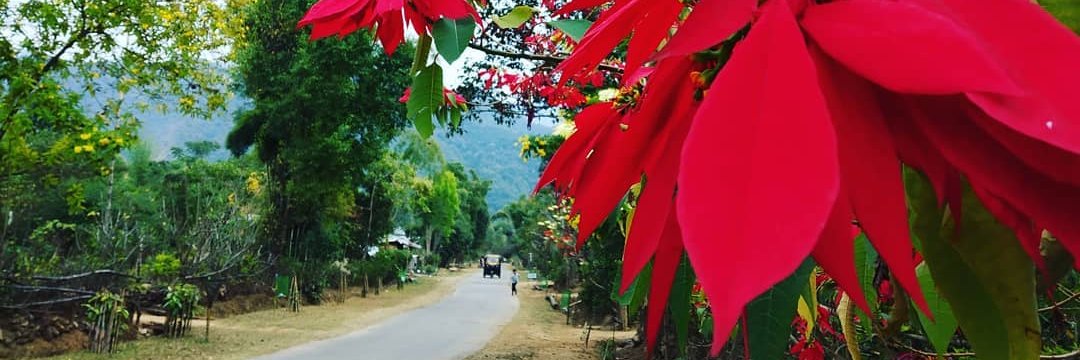 TklenHaokip's profile banner image