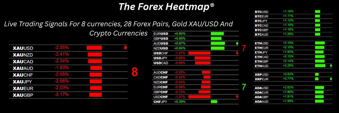 forextradeplans's profile banner image