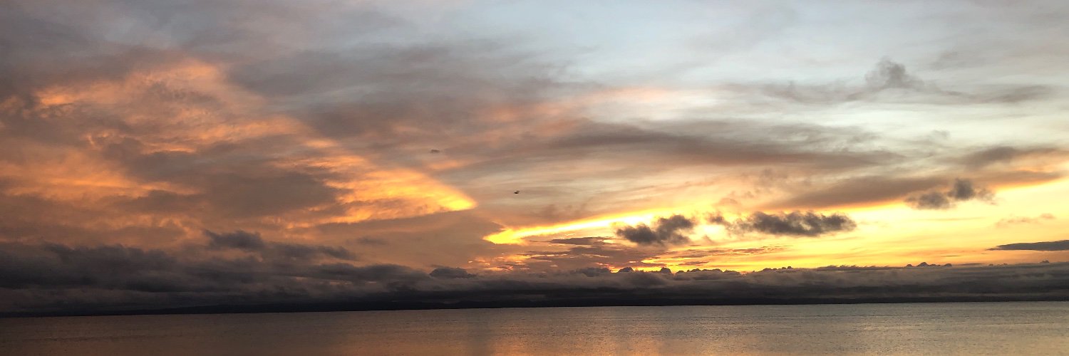 AleluArroyo's profile banner image