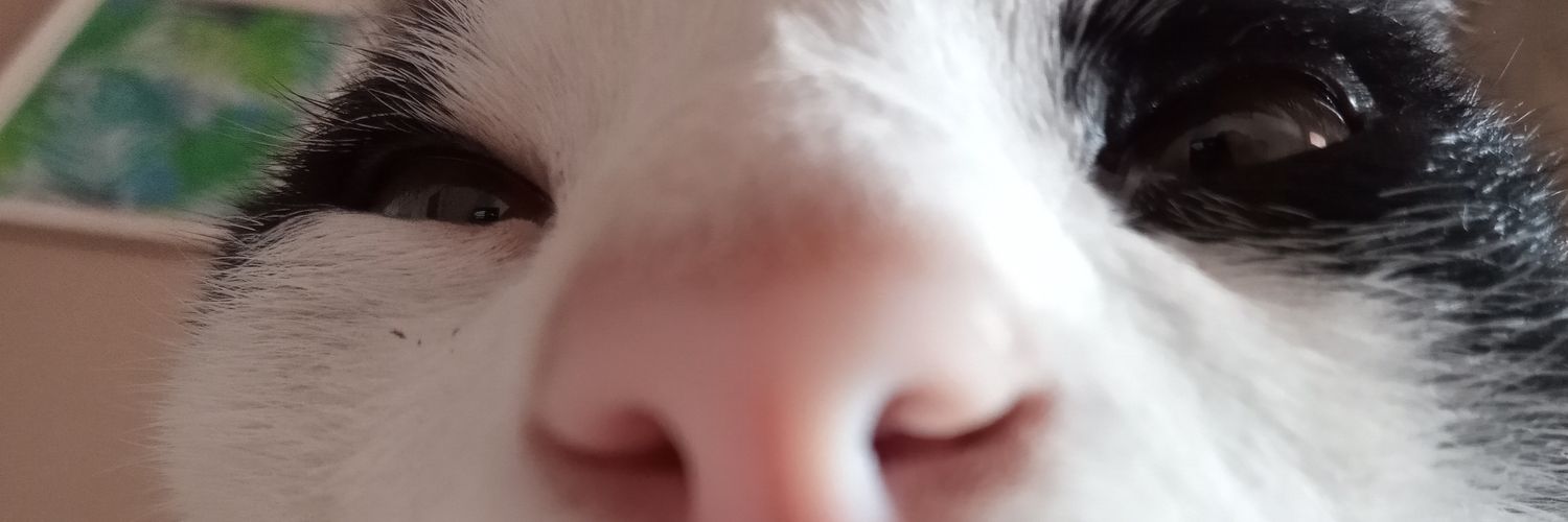 themar__'s profile banner image