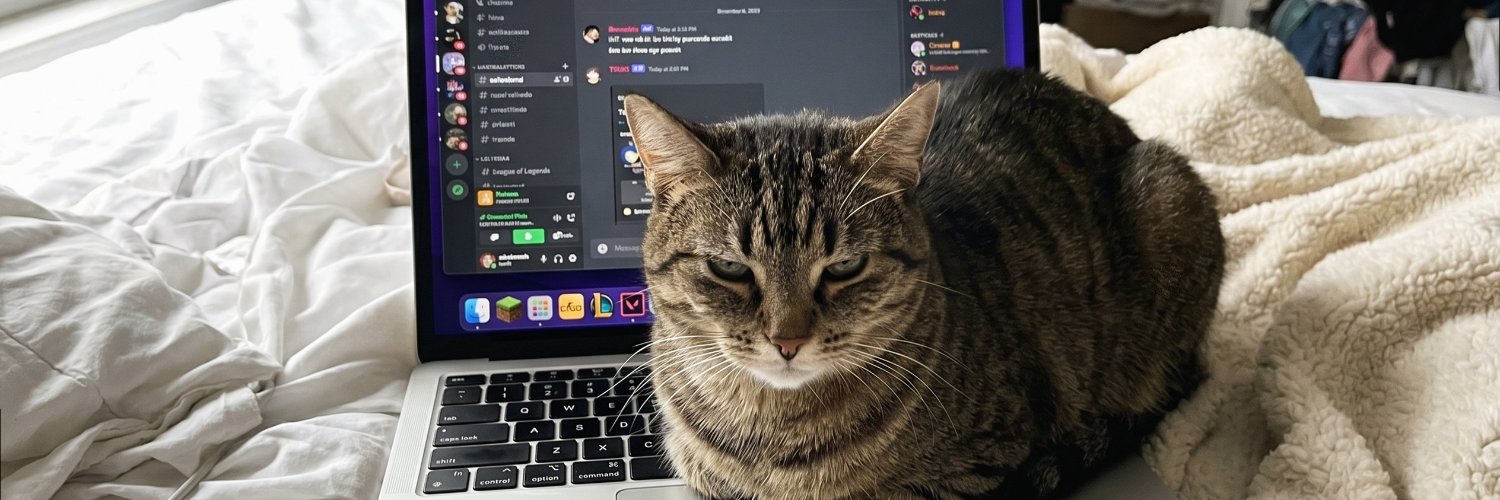 sofivy89's profile banner image