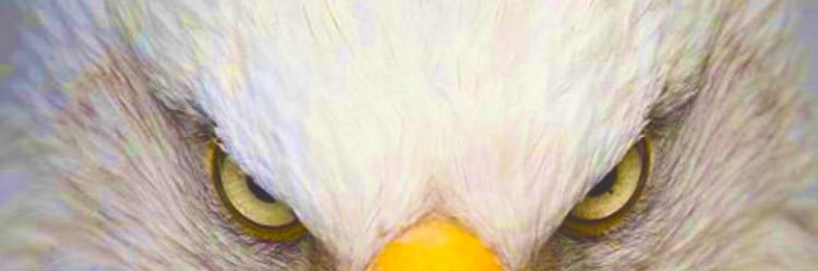 amr_toha's profile banner image
