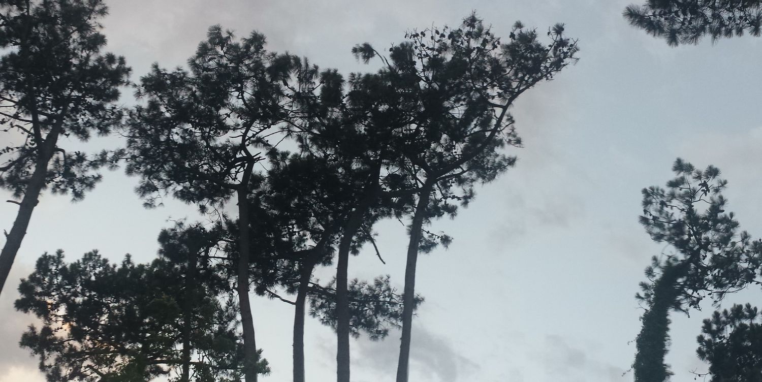 agusdefaut's profile banner image