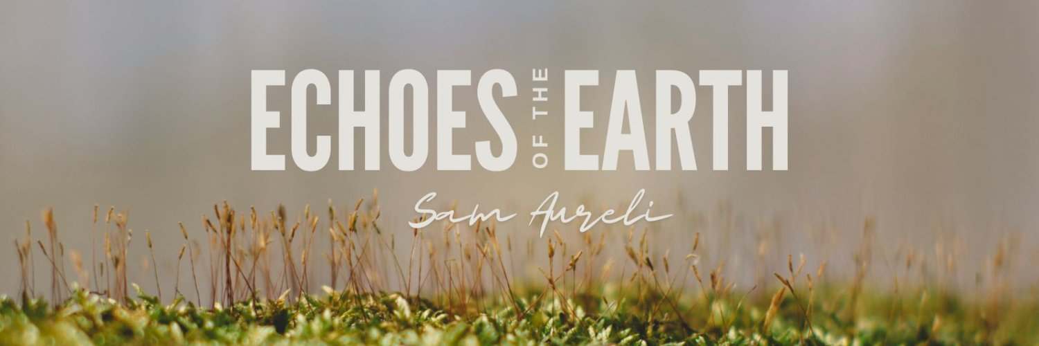 Sam Aureli's banner