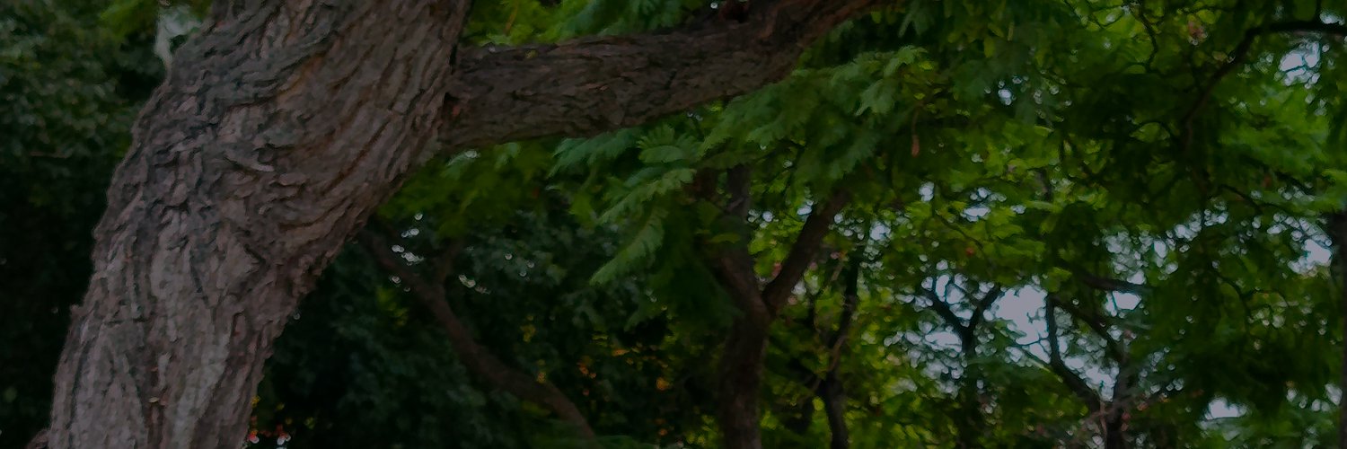 IvanGuedess's profile banner image