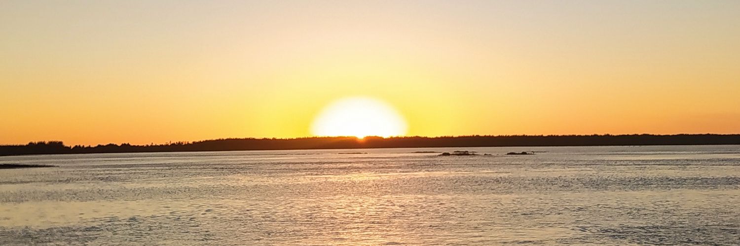 Ingrid. banner