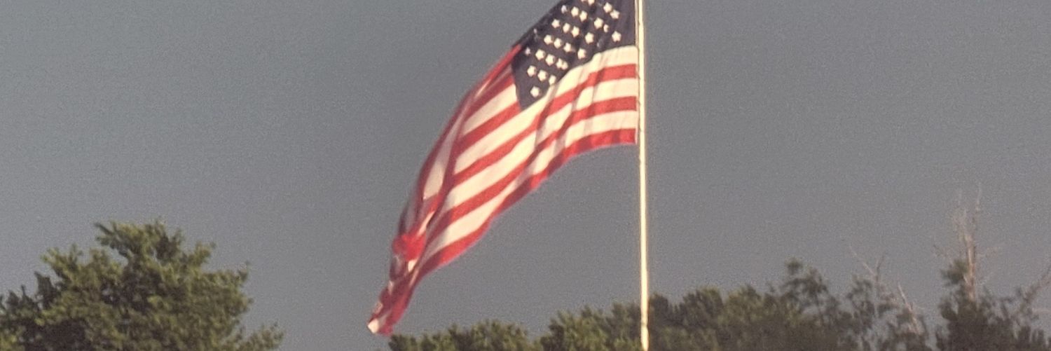 suefinberg's profile banner image